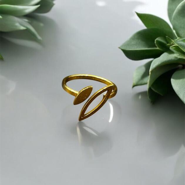 stainless steel ring