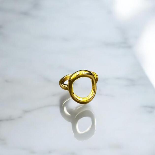 ring stainless steel